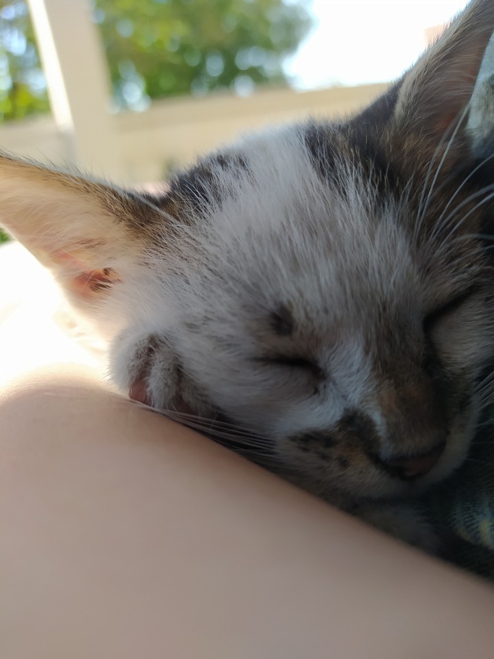 sleepy head ♥️