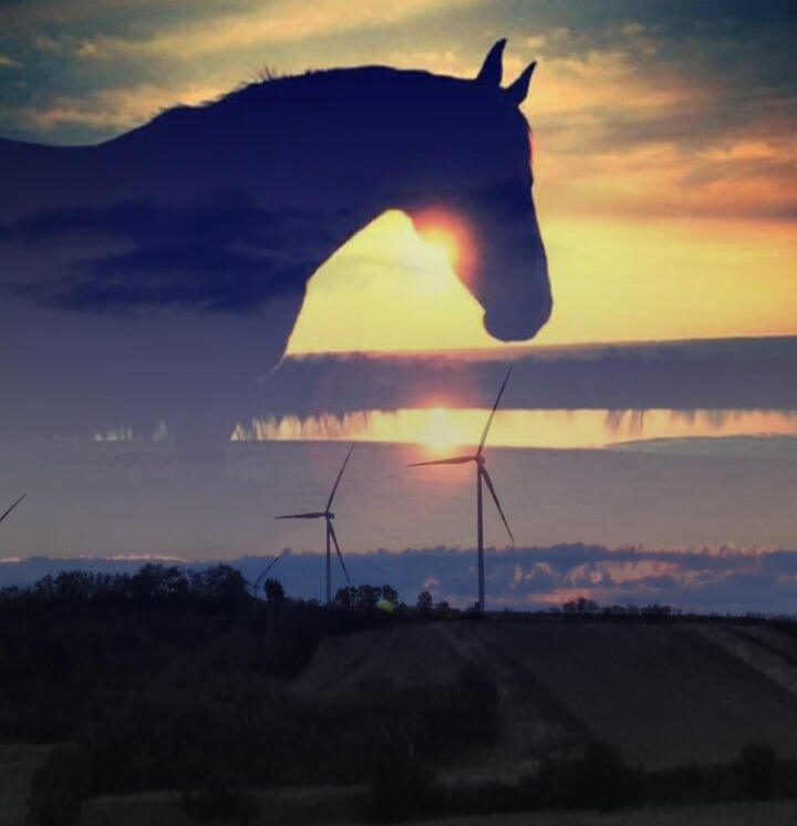 Sun and horse ♥