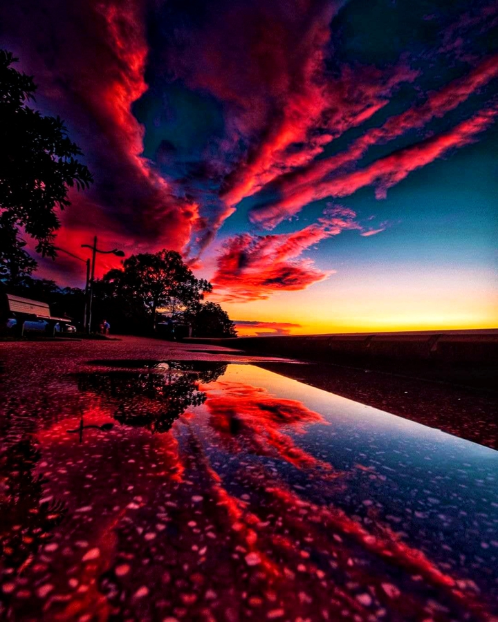 Red evening