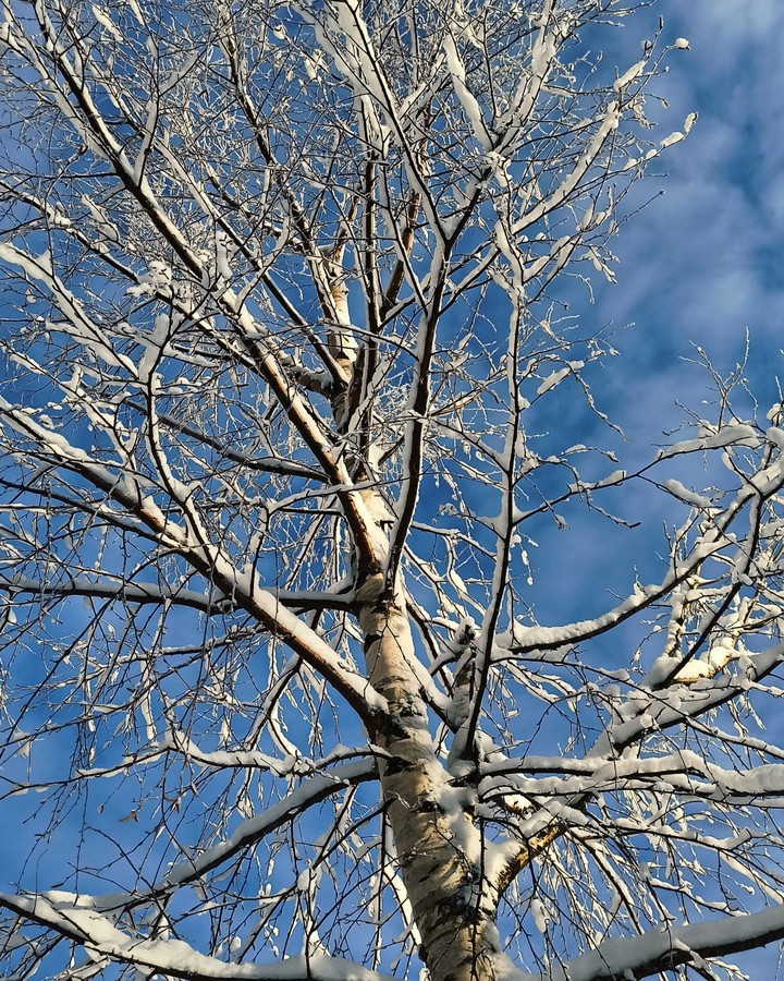 russian winter