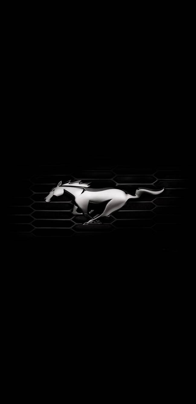 Mustang