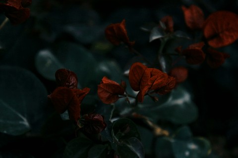 for u