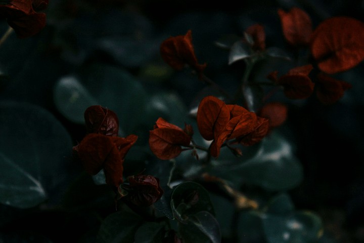 for u