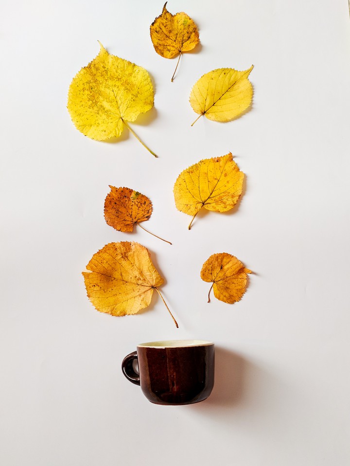 autumn coffee