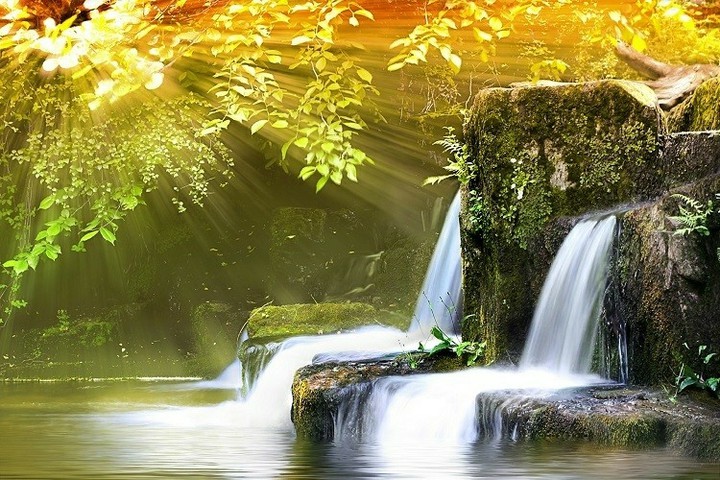 Nature