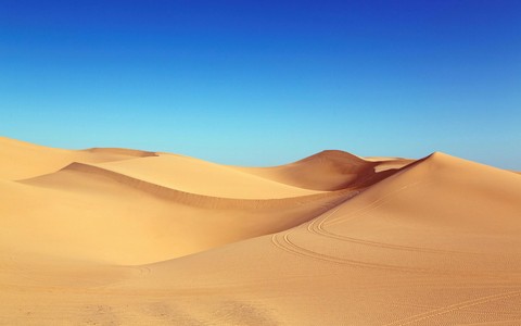 The Desert