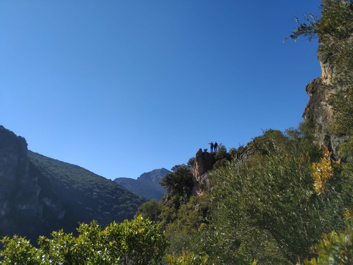 Garganta verde