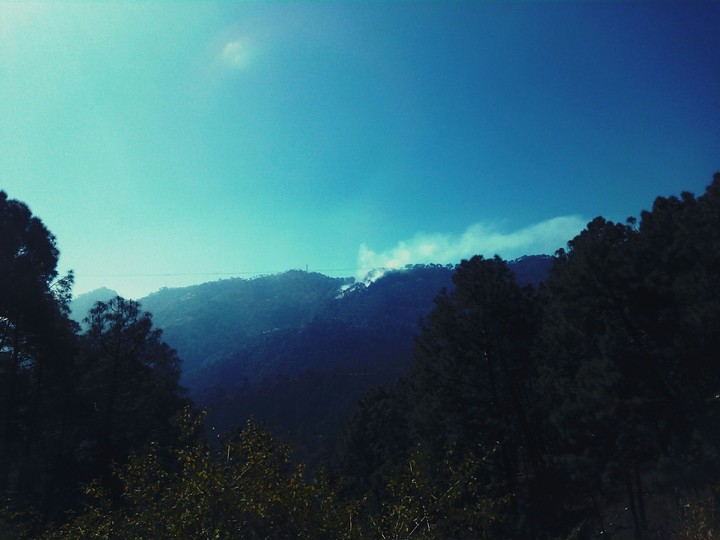 #hills_haven