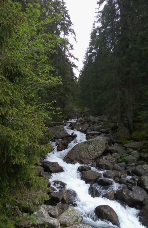Tatry ❤❤