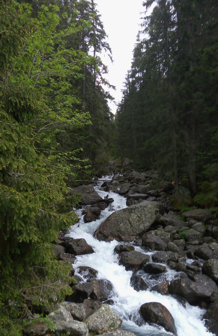 Tatry ❤❤