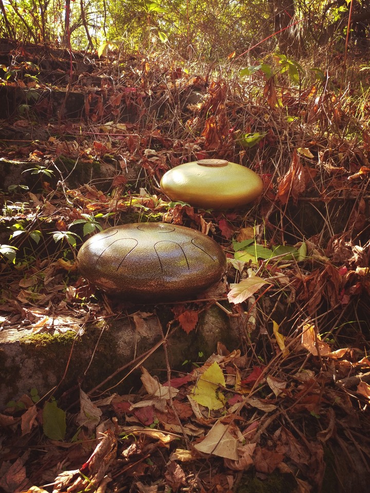 steel tongue drum