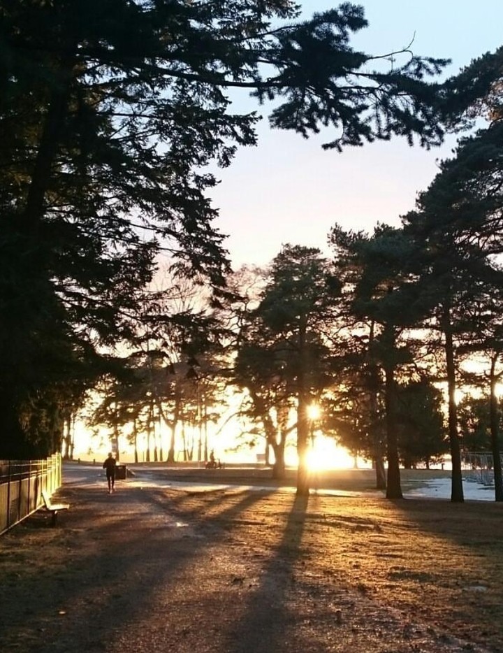 Golden sunrise