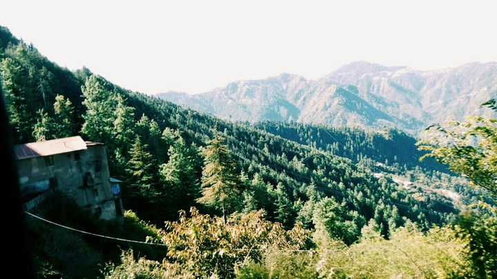 shimla