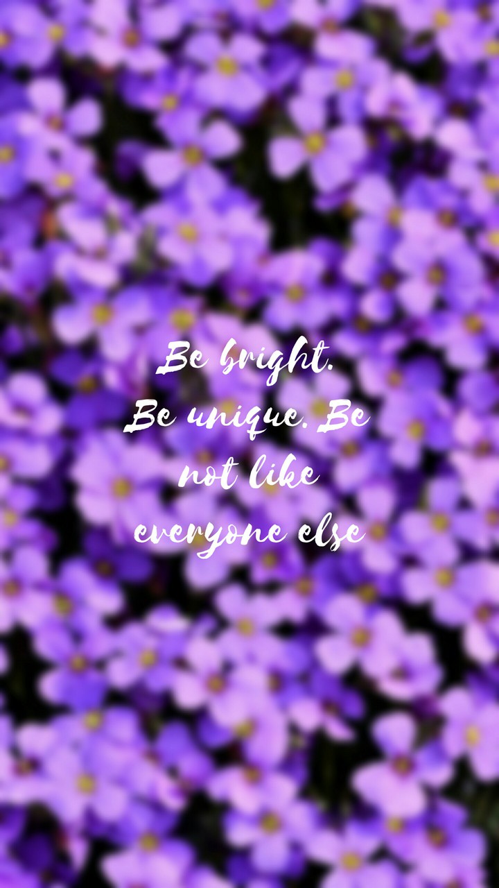 Quotes