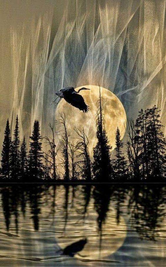 Nature