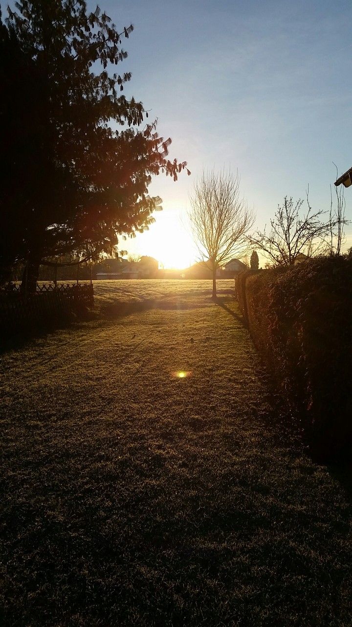 Morgengrauen