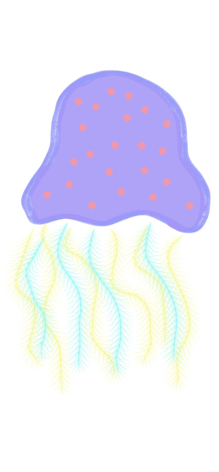Jellyfish