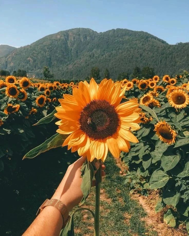 .
