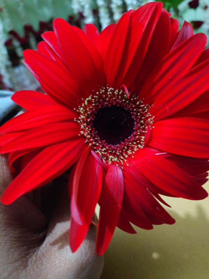 flower