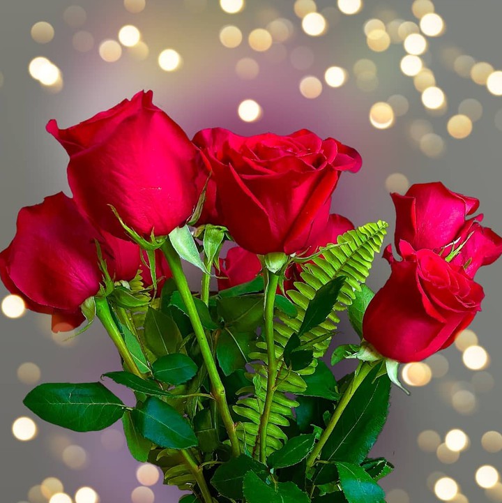 Happy Valentine's Day