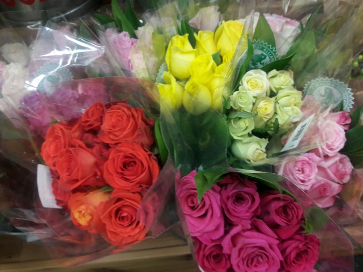 roses