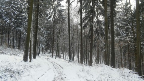 Winter im Odenwald