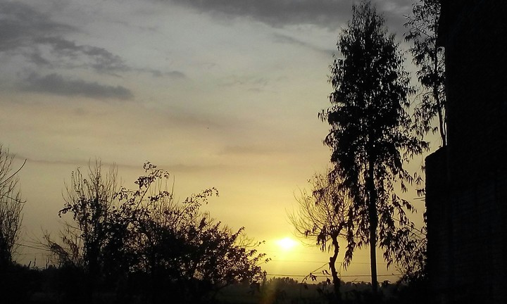 sunset