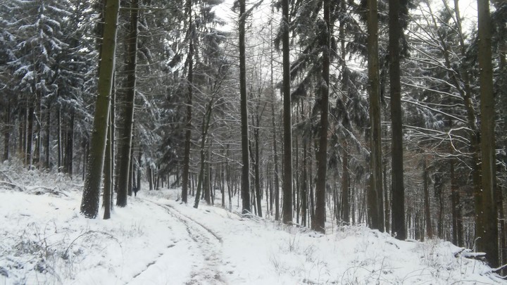 Winter im Odenwald