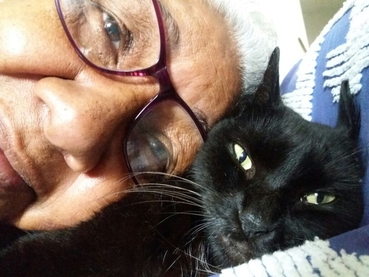 mama amor gata