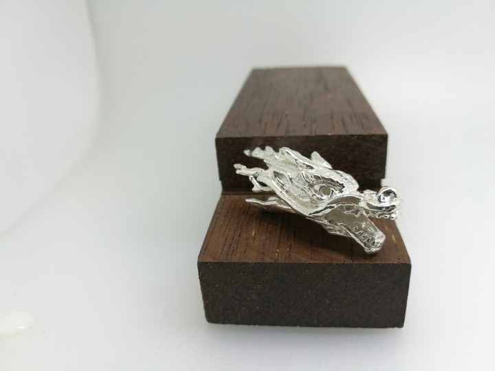 Dragon head