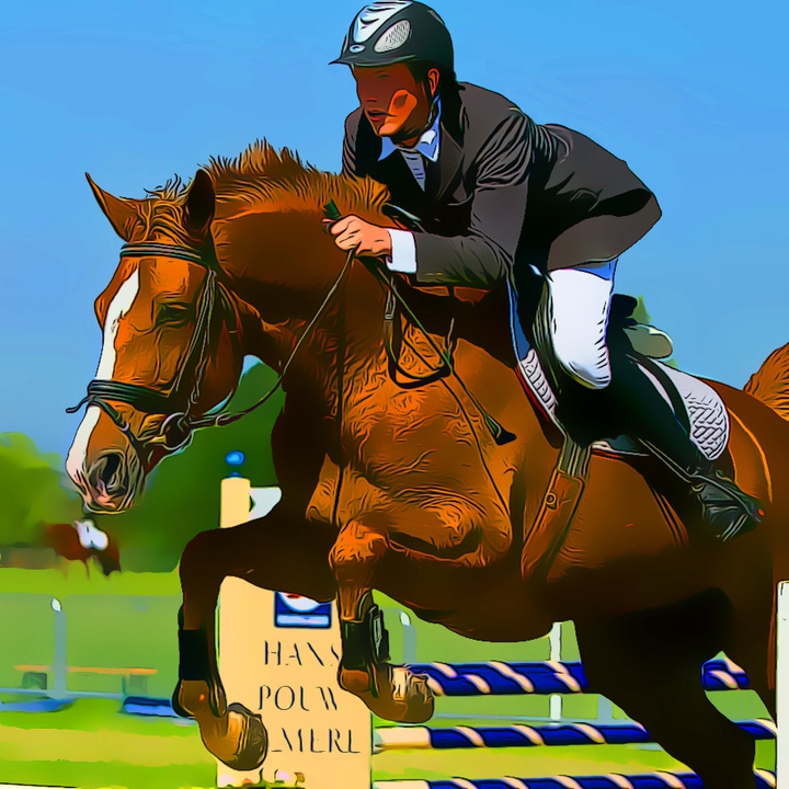show jumping pony