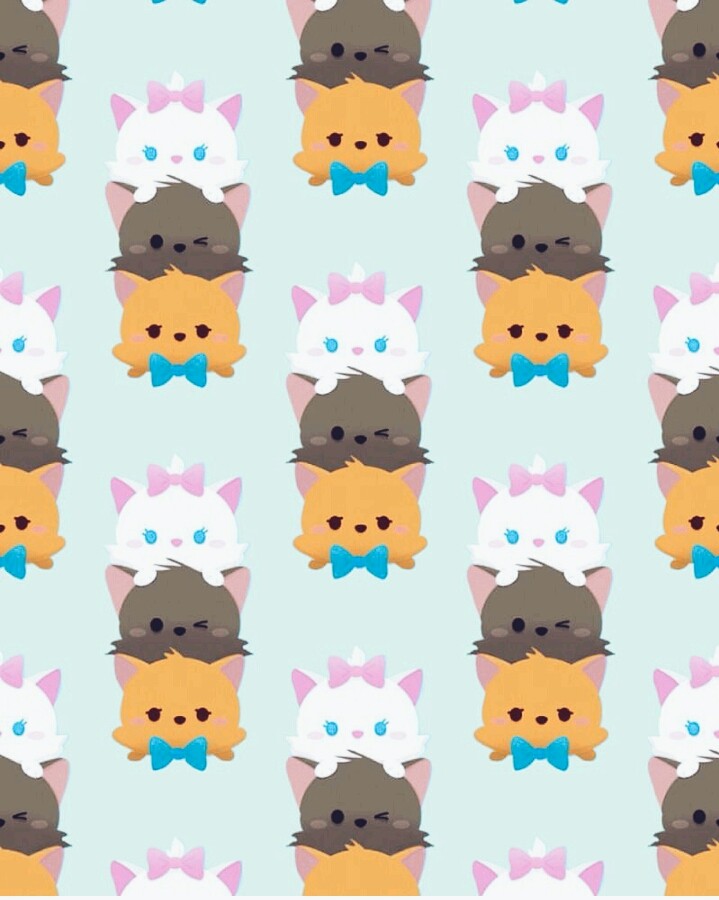 gatos sendo gatos