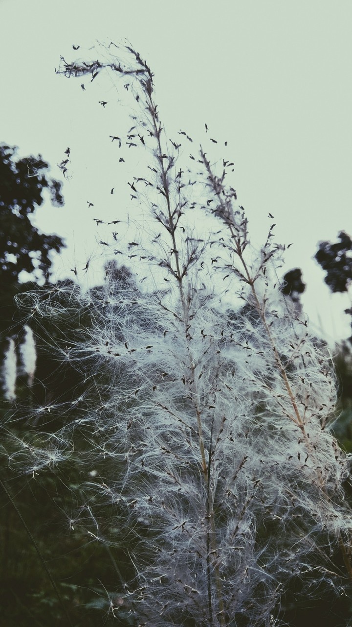 winter is here