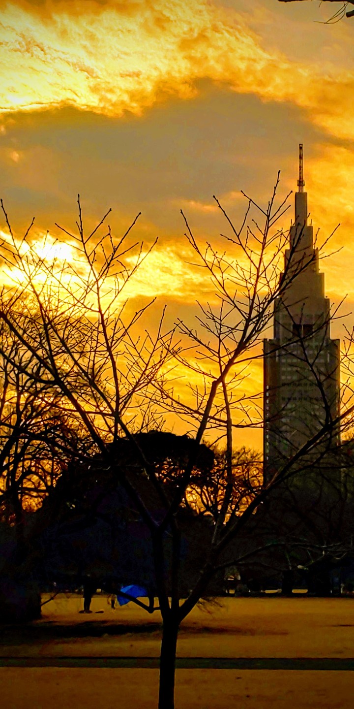 Sunset in Early Spring