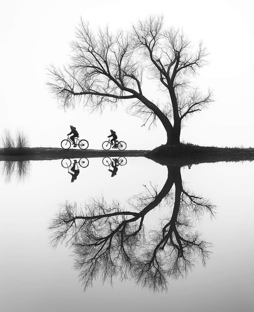 Photograph, Glass, Black_and_white