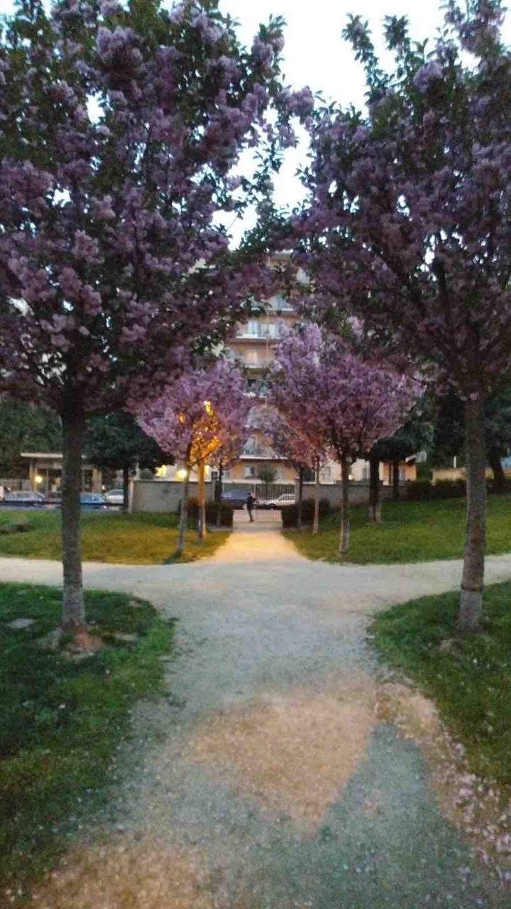 In the park