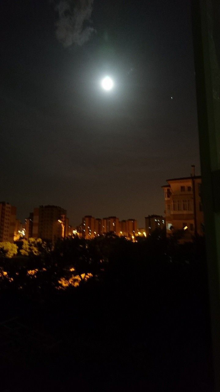 moonlight