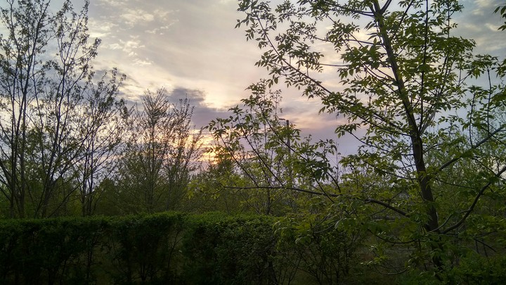 nature