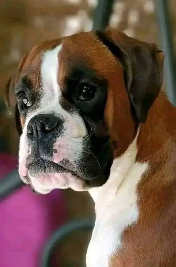 .