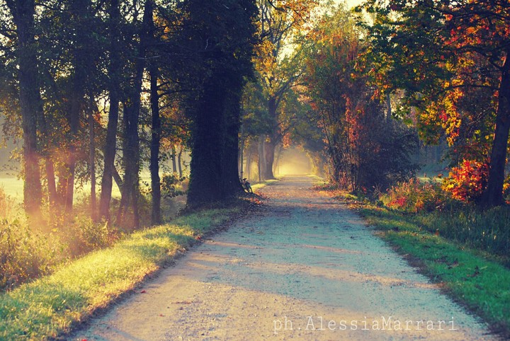 Magic path