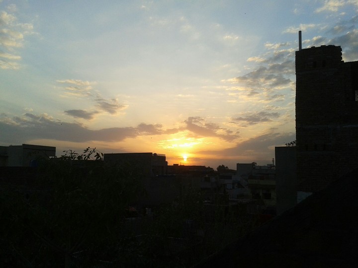environment