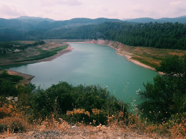 lac