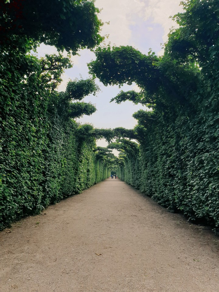 Schönbrunn Garden