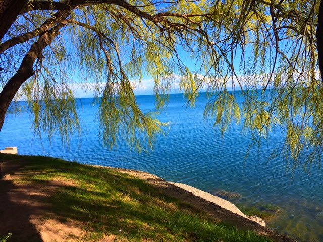 water
