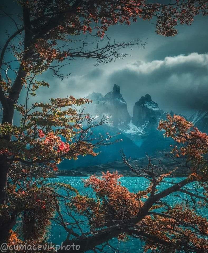 .
