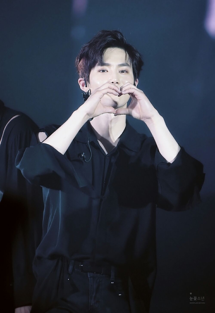 suho exo