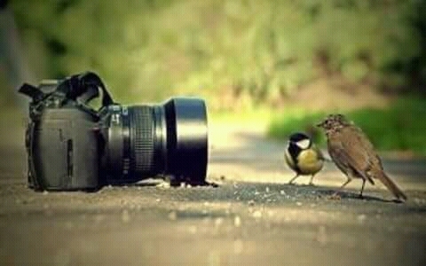 my photos