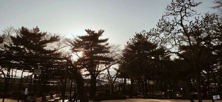 노을