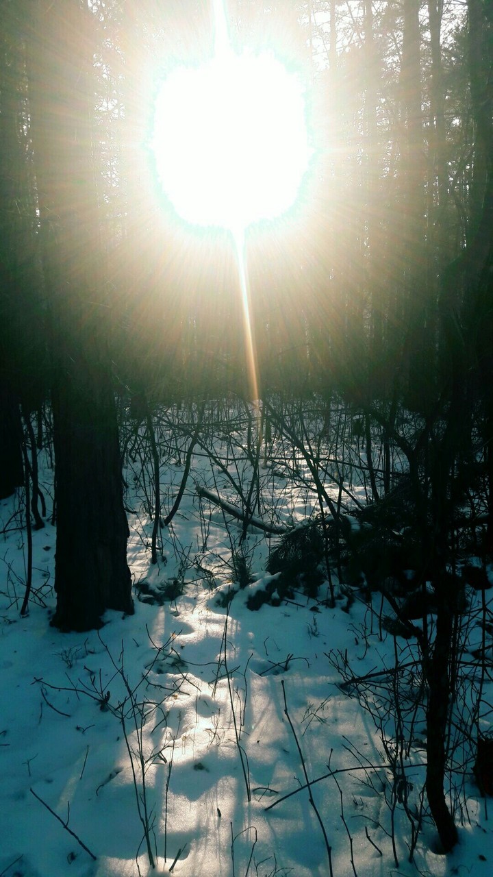 Sunshine