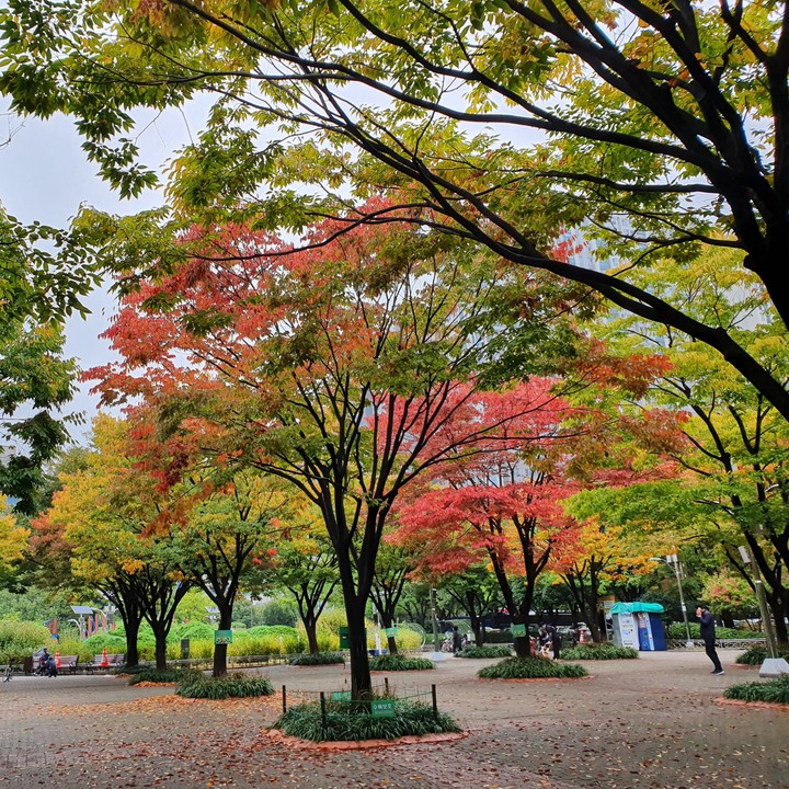 #park